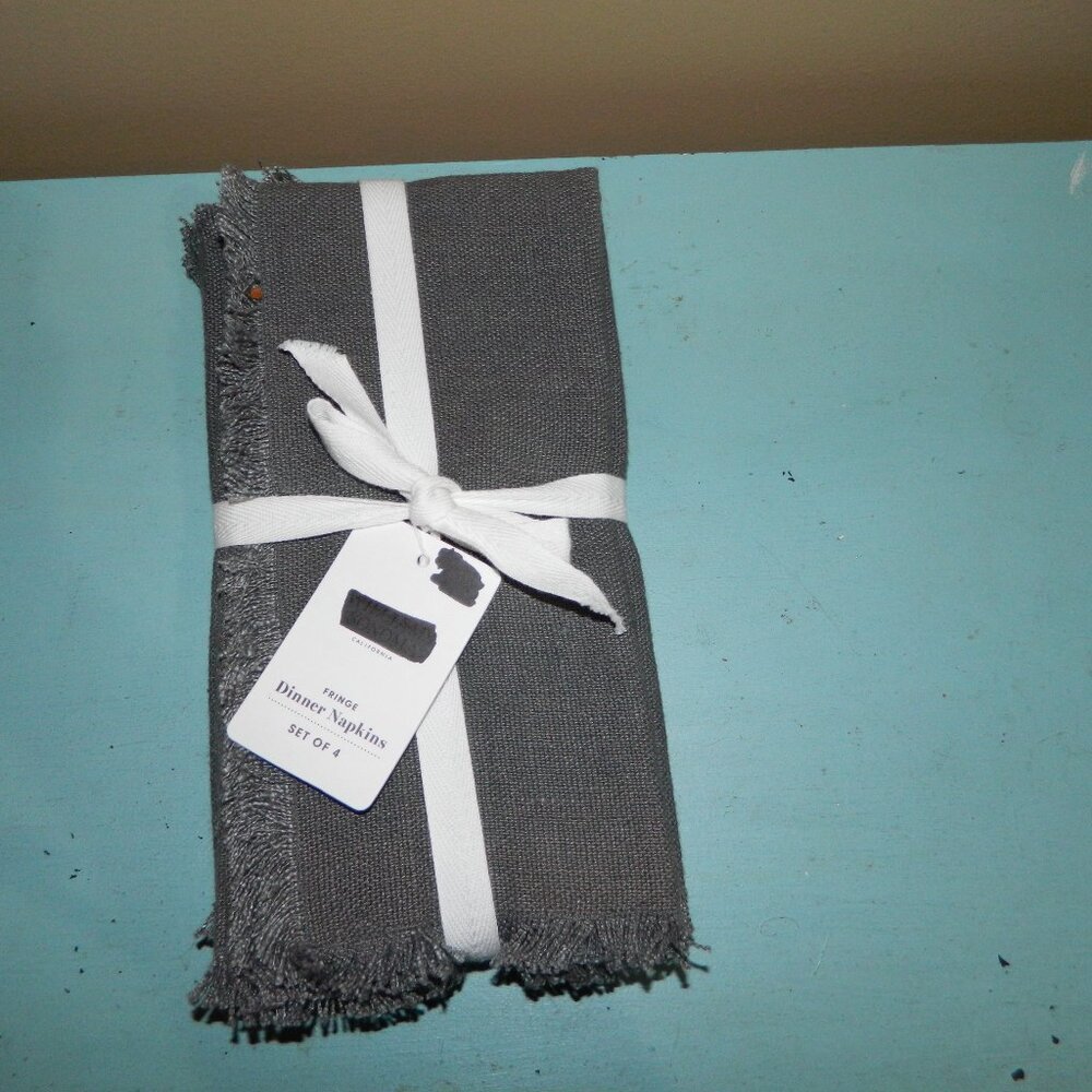 Williams Sonoma Fringe Linen Dinner Napkins Set of 4